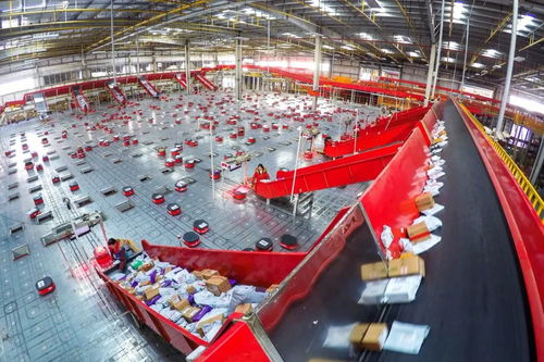 京東新業(yè)態(tài)服務民生顯身手，日用百貨銷售引領消費新體驗